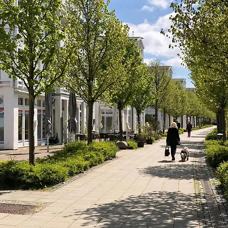 Selliner Blick Mitteltste 445 Apartment